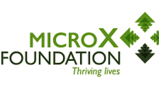 [GSEF SSE Youth Camp for SSE]: Micro X Foundation