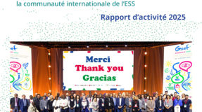 Rapport d'activité GSEF 2025